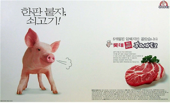 한판붙자 쇠고기.bmp