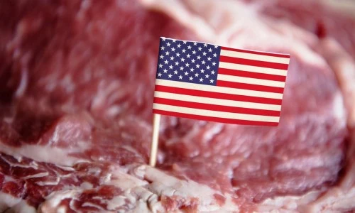 ?src=%22https%3A%2F%2Fwww.beefcentral.com%2Fwp-content%2Fuploads%2F2025%2F04%2FUS-beef-shutterstock.jpg%22&type=ff500_300