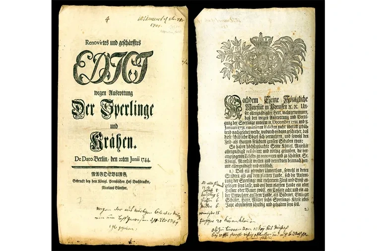 bild_8_verordnung-sperrlingsbekampfung_21075.webp?w=760&h=507