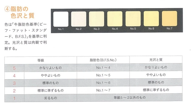 20241125_115647.png?type=w773