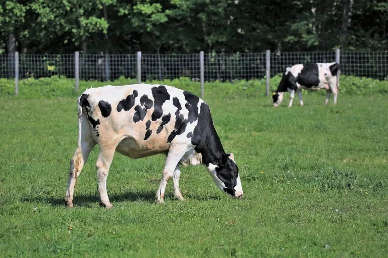 %EB%8B%A4%EC%9A%B4%EB%A1%9C%EB%93%9C_(24).jpeg?type=w773