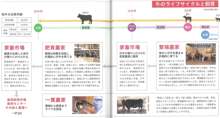 20241125_212359.png?type=w773