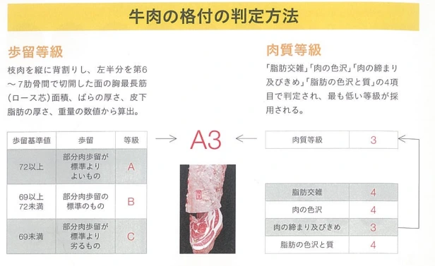 20241125_114531.png?type=w773