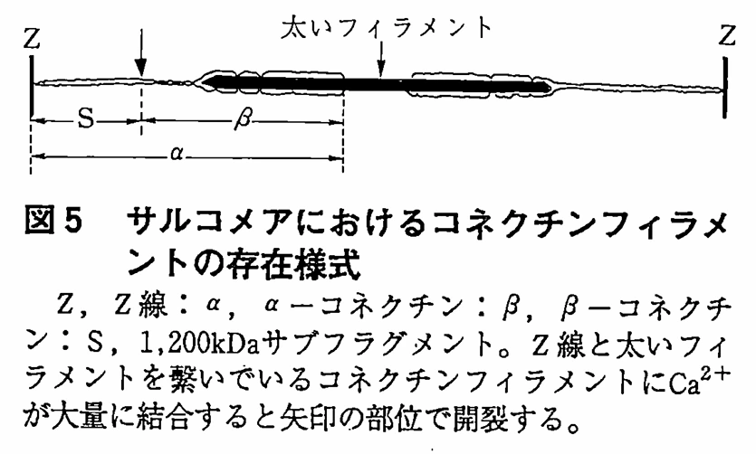 img.png?credential=yqXZFxpELC7KVnFOS48ylbz2pIh7yKj8&expires=1753973999&allow_ip=&allow_referer=&signature=XNOQPq%2FfAKhtRlOJuNI2fRB5HWw%3D