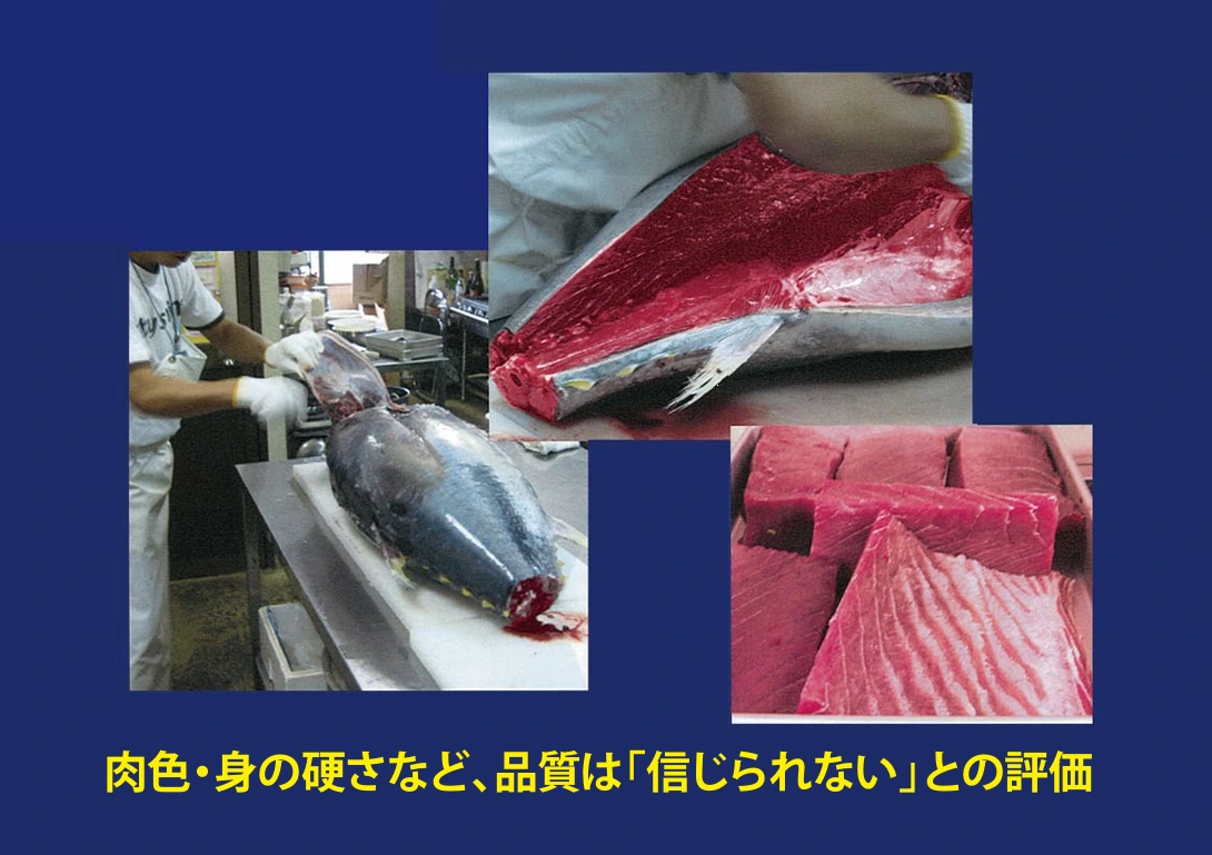 img.png?credential=yqXZFxpELC7KVnFOS48ylbz2pIh7yKj8&expires=1753973999&allow_ip=&allow_referer=&signature=zCo5YFray6XGxbjhdrMKO8Hkpzc%3D