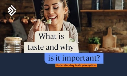 ?src=%22https%3A%2F%2Fwww.highspeedtraining.co.uk%2Fhub%2Fwp-content%2Fuploads%2F2022%2F06%2Fwhat-is-taste-fb-1.jpg%22&type=ff500_300