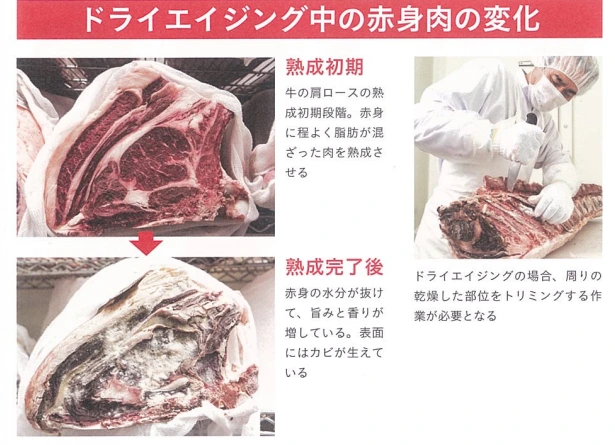 20241125_221831.png?type=w773