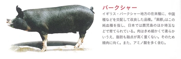 20241126_110740.png?type=w1