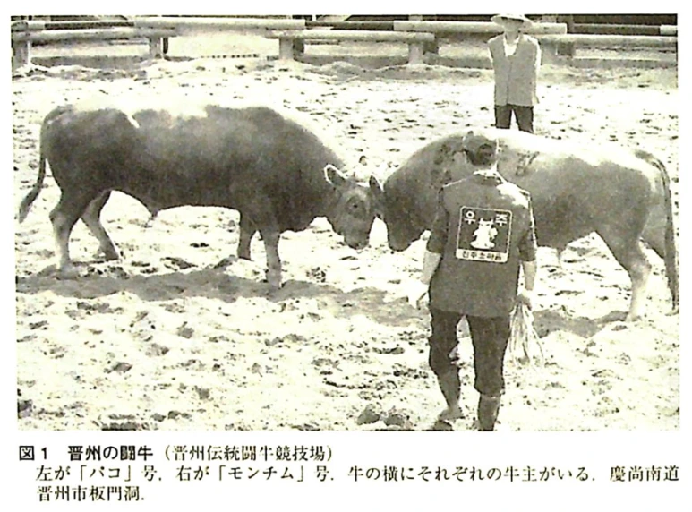 20241117_111952.png?type=w773