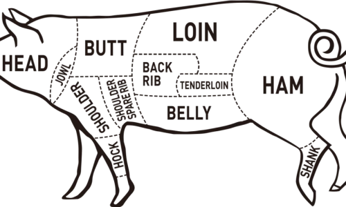 ?src=%22https%3A%2F%2Fhylifepork.com%2Fwp-content%2Fuploads%2Fpig_illust_20210908-1024x524.png%22&type=ff500_300