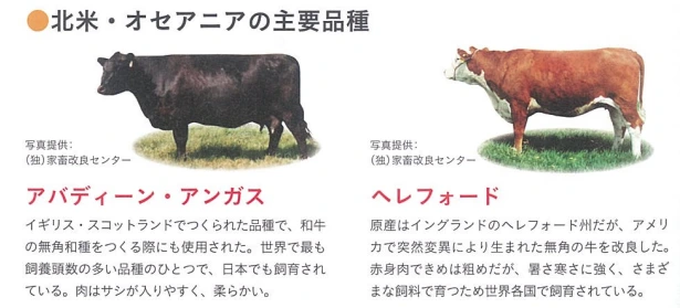 20241125_204400.png?type=w773