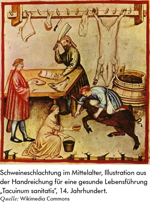 344875_galerie_lightbox_box_1000x666.jpg?type=w773