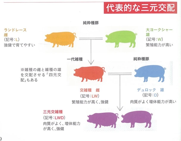 20241126_112909.png?type=w773