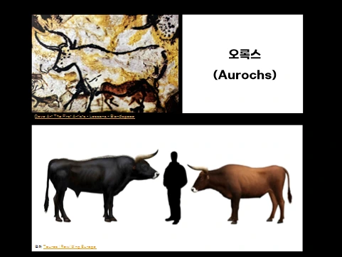 %ED%95%9C%EC%9A%B08.png?type=w773