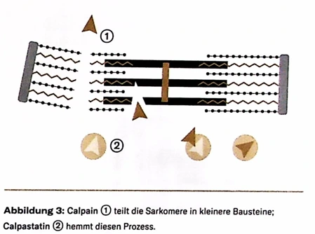 20241124_123553.png?type=w773