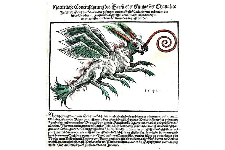 bild_67_heuschrecke_wiki-mittelalterliches-kriminalmuseum-1200x800.webp?w=760&h=507