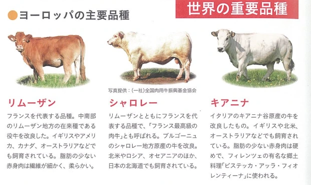 20241125_204139.png?type=w773