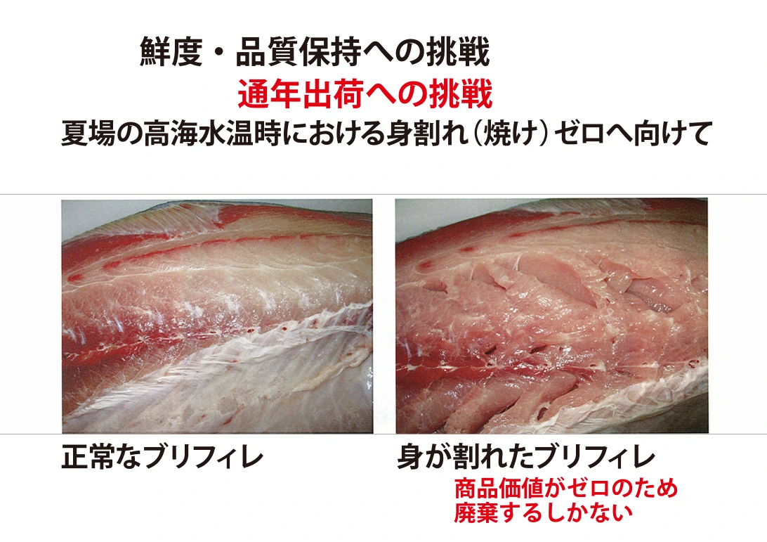 img.png?credential=yqXZFxpELC7KVnFOS48ylbz2pIh7yKj8&expires=1753973999&allow_ip=&allow_referer=&signature=v0SXDkSKik7lC3HhSgs%2FLNbLihE%3D