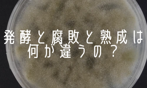 ?src=%22http%3A%2F%2Fjukuseiniku-tsumugu.com%2Fcdn%2Fshop%2Farticles%2FInstagram_1200x1200.png%3Fv%3D1673142971%22&type=ff500_300