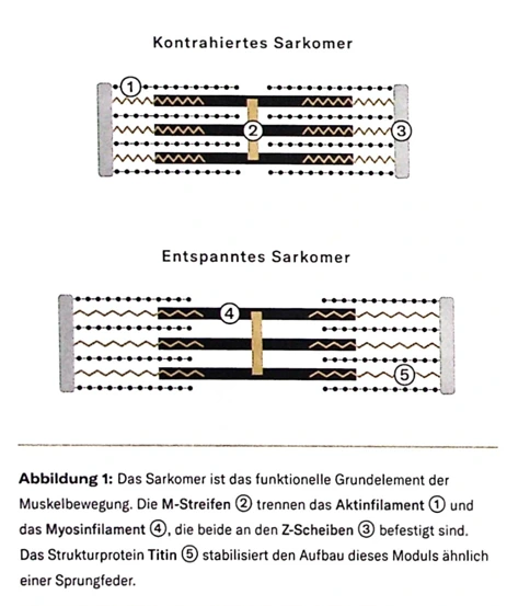 20241124_105756.png?type=w773