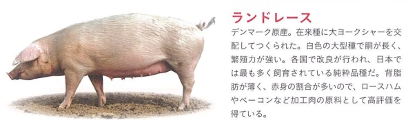 20241126_110004.png?type=w1