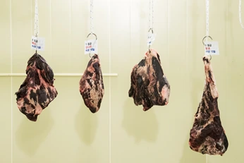 BIN0007.bmp.png?type=w773