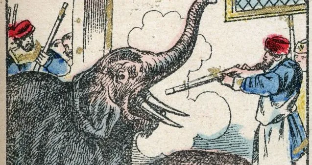 640x340_elephant_(1).jpg?type=w773