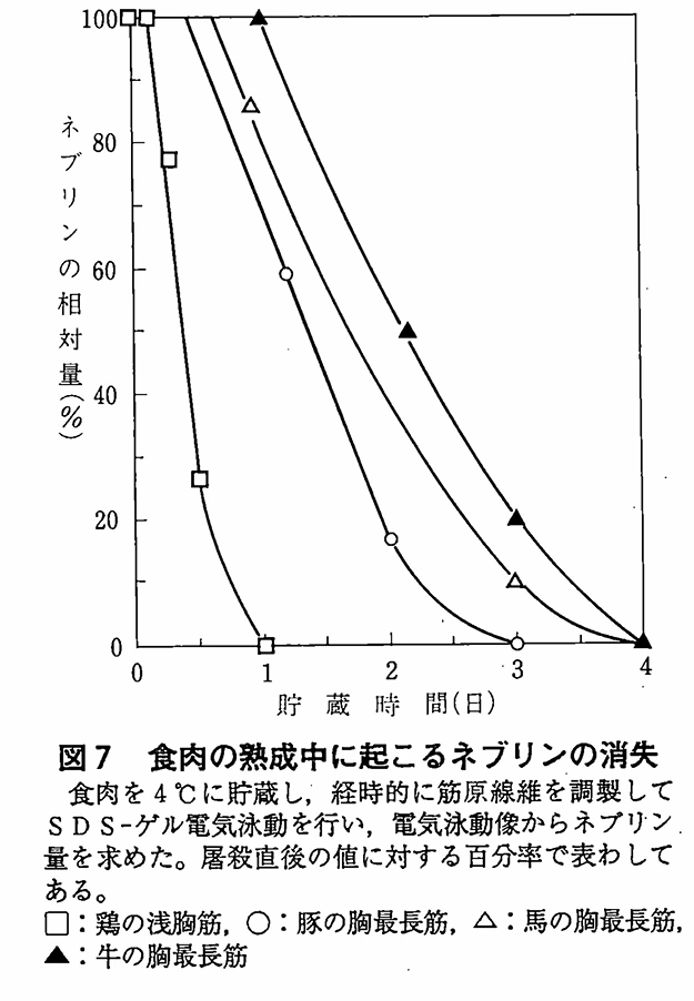 img.png?credential=yqXZFxpELC7KVnFOS48ylbz2pIh7yKj8&expires=1753973999&allow_ip=&allow_referer=&signature=hu5CN3KnVJAF1JXl7NjGg%2F4dewQ%3D
