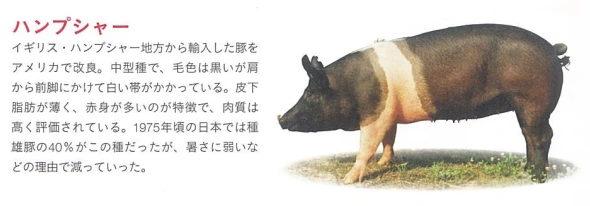 20241126_111135.png?type=w1