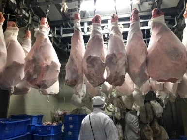 image7-2-786x590_(1).jpg?type=w386