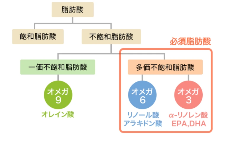 20241118_221838.png?type=w773