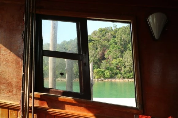 IMG_1947.JPG?type=w580