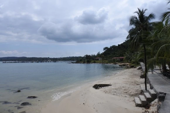 DSC_2021.JPG?type=w580