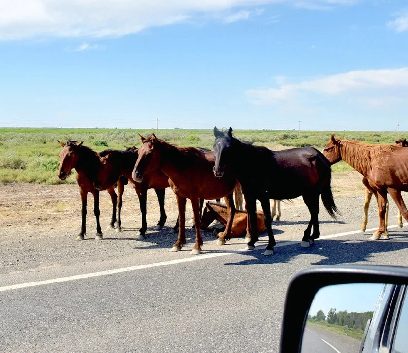 %EC%84%ACF4.jpg?type=w1200