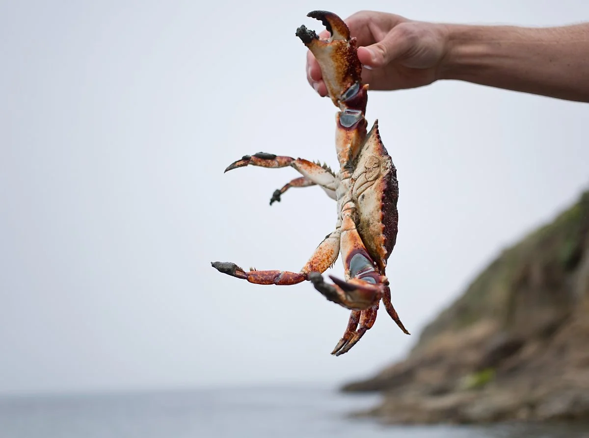 image_7696830121499389653472.jpg?type=w1200