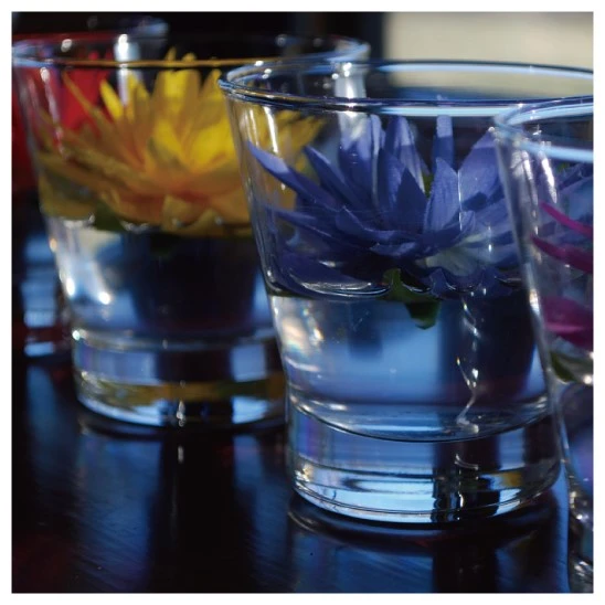 KakaoTalk_20160530_101719344.jpg?type=w1200