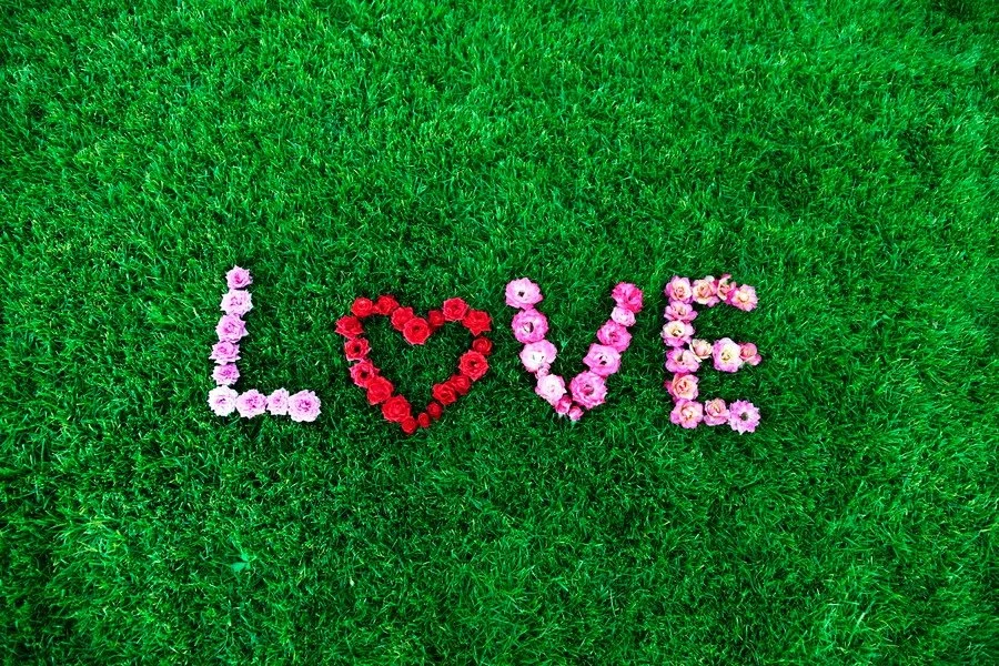 image_1022570191524123055761.jpg?type=w1200