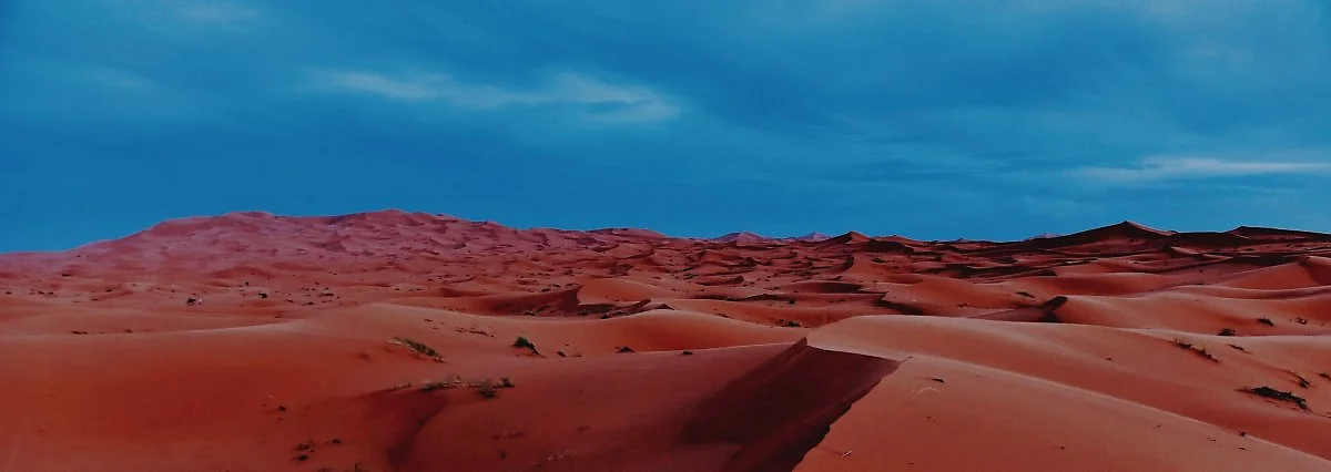 image_8029413631483344858987.jpg?type=w1200