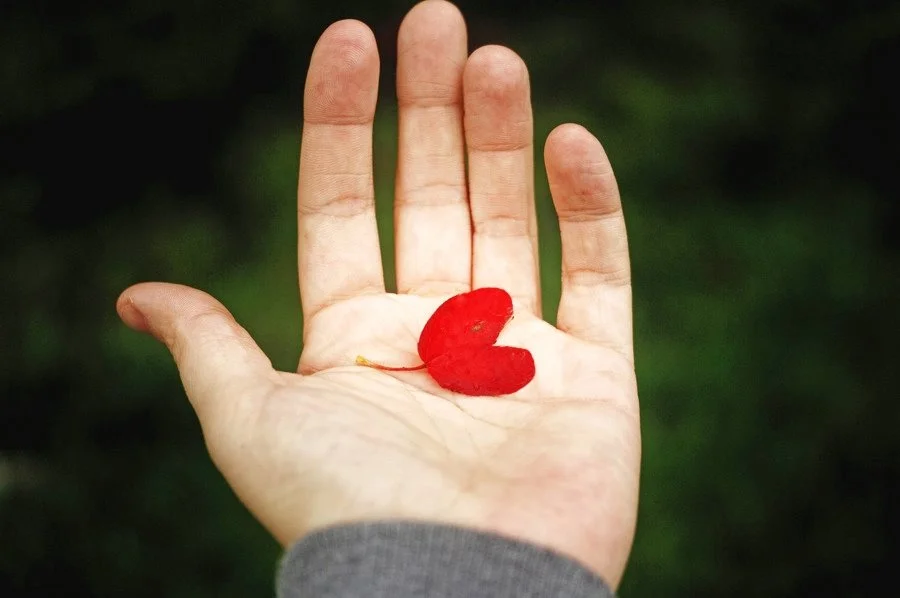 image_3110466081502079938990.jpg?type=w1200