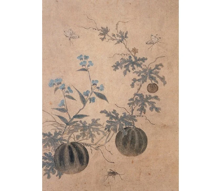 KakaoTalk_20160908_114626691.jpg?type=w1200