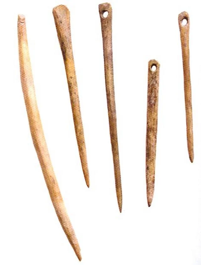 wp_5716109391505119215332.jpg?type=w1200