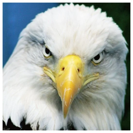 KakaoTalk_20160728_095155133.jpg?type=w1200