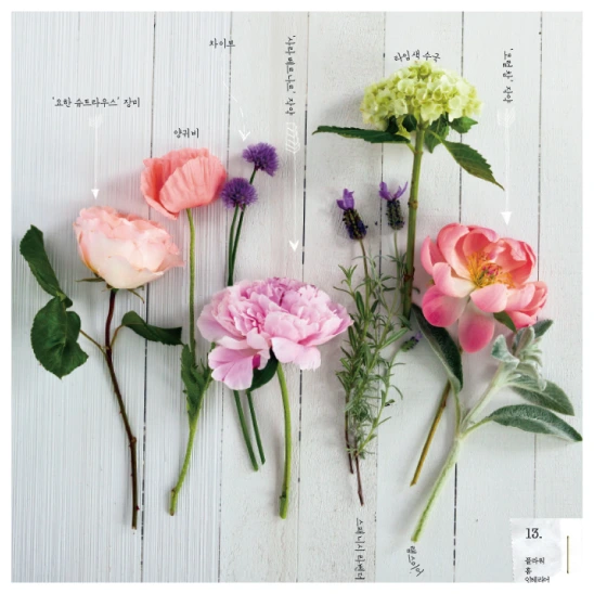 %BD%E6%B3%D7%C0%CF%C3%D6%C1%BE_.jpg?type=w580