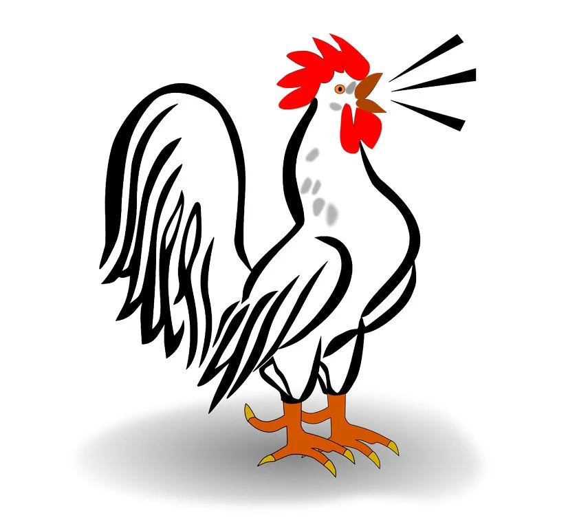 KakaoTalk_20161207_091118736.jpg?type=w1200