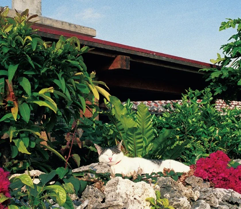 KakaoTalk_20160831_165821254.jpg?type=w1200