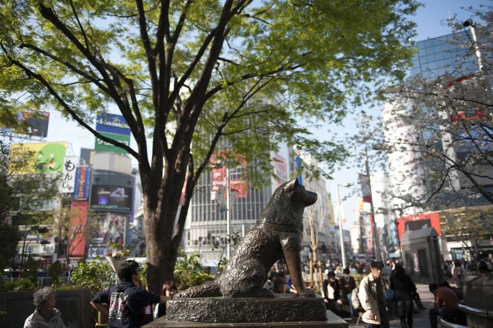 0_995_0_662_one_0_4200_0_2795_one_shibuya_patrick-6396.jpg?type=w1200