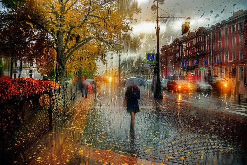 lovely-rainy-day-photos-that-look-like-oil-paintings.jpg?type=w1200