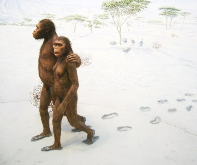 image_1297389821495703829673.jpg?type=w1200