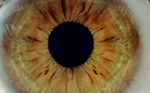 11623688345_fb6106abcc_o.png?type=w1200