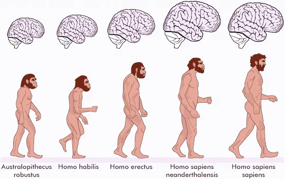 image_3095097681509083375942.png?type=w1200